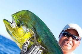 offshore fishing excursions